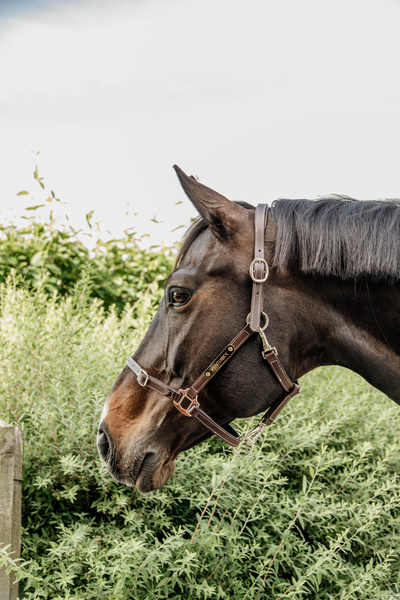 Kantar pielęgnacyjny ze skóry syntetycznej Kentucky Horsewear Leather Halter Flexible
