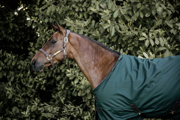 Derka padokowa Kentucky Horsewear All Weather Waterproof Pro 160g