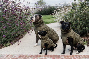 Derka dla psa Kentucky Dogwear Winter Pina