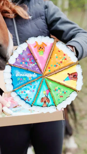 Tarta dla koni Candy Horse