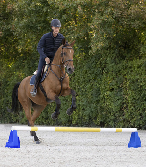 Cavaletti Waldhausen