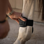 Ochraniacze tylne Kentucky Horsewear Young Horse PRO