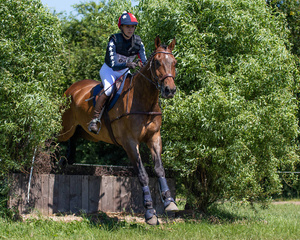 Bluzka damska z długim rękawem QHP Vegas