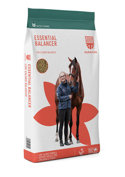 SARACEN Essential Balancer 20kg