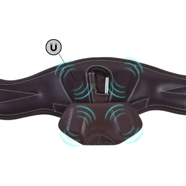 Popręg anatomiczny Hippica Perfect Fit