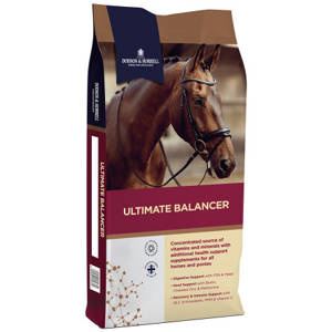 Dodson & Horrell Ultimate Balancer 20kg