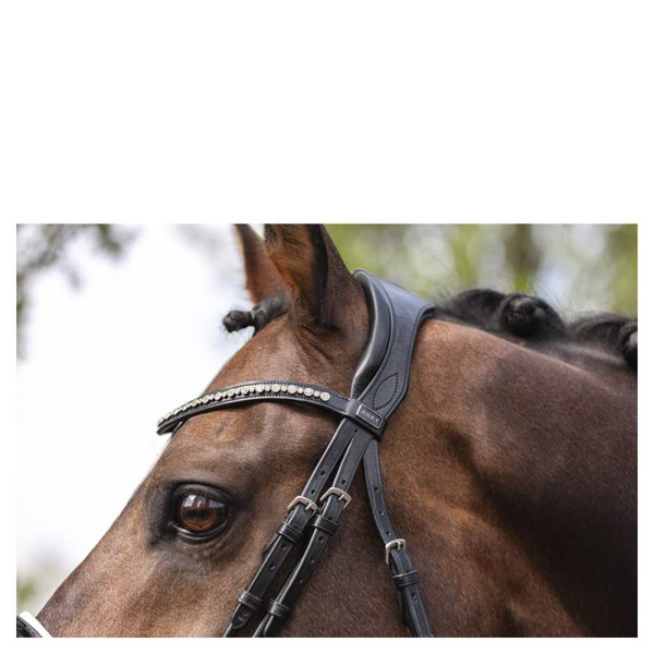 Ogłowie anatomiczne z lakierowanym nachrapnikiem szwedzkim ANKY® Comfort Fit Anatomical