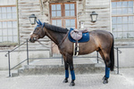 Czaprak wszechstronny Kentucky Horsewear Velvet Pearls