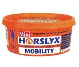 Lizawka Horslyx MINI 650g