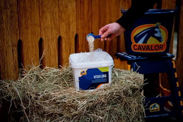 Suplement optymalizujący stan mikroflory jelitowej Cavalor Vitaflora