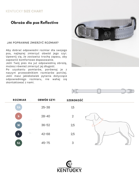 Obroża dla psa Kentucky Dogwear Reflective