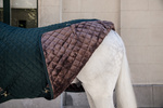 Derka stajenna Kentucky Horsewear - 400g