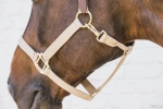 Kantar bezpieczny Kentucky Horsewear Breakaway
