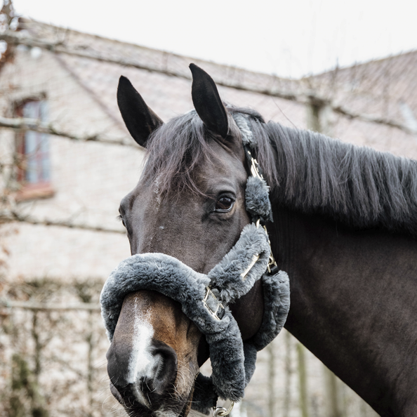 Kantar obszyty w całości syntetycznym futrem Kentucky Horsewear Sheepskin Shipping