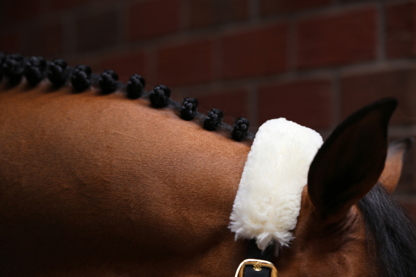 Kantar obszyty w całości syntetycznym futrem Kentucky Horsewear Sheepskin Shipping