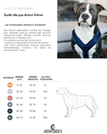 Szelki dla psa Kentucky Dogwear Active Velvet
