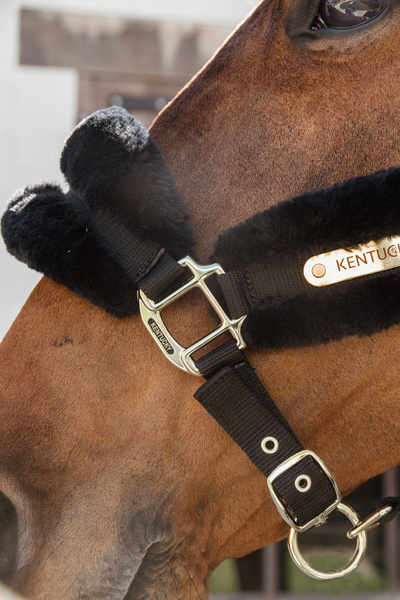 Kantar z futrem syntetycznym Kentucky Horsewear Nylon Sheepskin Halter Soft