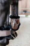 Ochraniacze tylne z futrem Kentucky Horsewear Young Horse TPU