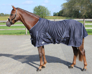 Derka stajenna QHP Summer