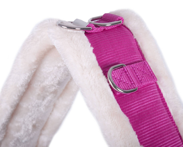 Pas do lonżowania QHP Color