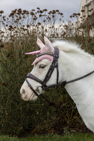 Nauszniki z różowym rogiem jednorożca Kentucky Horsewear Unicorn Glitter
