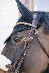 Nauszniki wyciszające Kentucky Horsewear Metal Chain