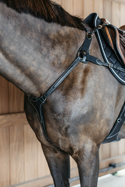 Napierśnik pięciopunktowy Dy'on D Collection DY06F