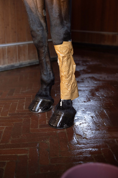Papier do glinki chłodzącej Grooming Deluxe Horse Leg Clay Paper