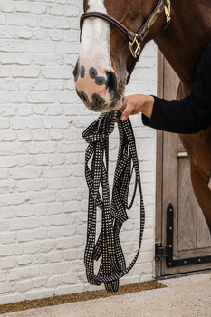 Lonża Kentucky Horsewear Lunge Line