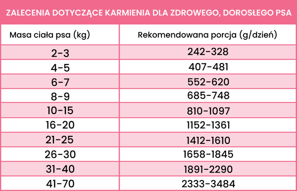 Karma mokra dla dorosłych psów Perro -  Struś z cukinią