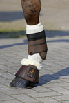 Skarpeta chroniąca przed obtarciami, zabrudzeniami i infekcjami Kentucky Horsewear Tendon Grip Sock
