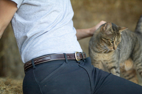 Pasek do spodni Dy'on Fancy RI19B