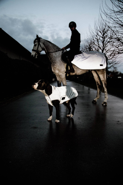 Derka treningowa Kentucky Horsewear Riding Rug Reflective