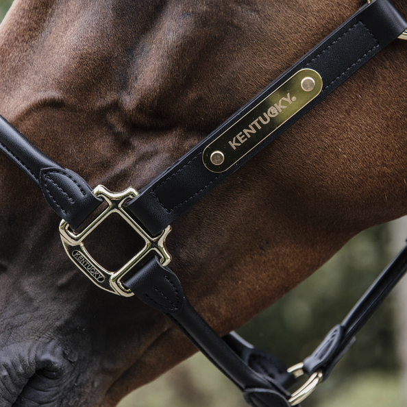 Kantar anatomiczny Kentucky Horsewear Anatomic Leather Halter