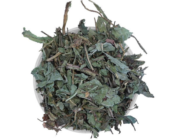 Mniszek lekarski EQUIHERBS