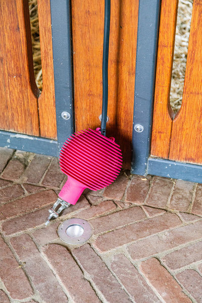 Kula ochronna do uwiązu Kentucky Horsewear Pro