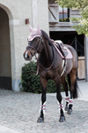 Ochraniacze przednie z futrem Kentucky Horsewear Bamboo Elastic - RÓŻOWE