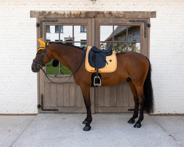 Nauszniki klasyczne Kentucky Horsewear Velvet Printing