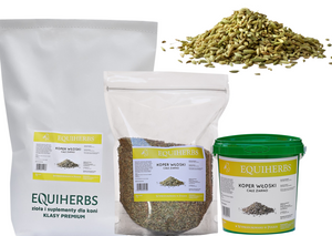 Koper włoski EQUIHERBS