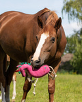 Zabawka do boksu QHP Horse Toy