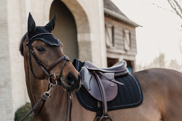 Nauszniki klasyczne Kentucky Horsewear Glitter Stone