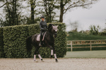 Czaprak ujeżdżeniowy Kentucky Horsewear Velvet Pearls