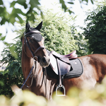 Nauszniki klasyczne Kentucky Horsewear Stone&Pearl Long 