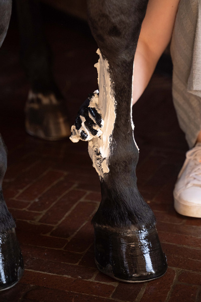 Papier do glinki chłodzącej Grooming Deluxe Horse Leg Clay Paper