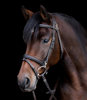 Ogłowie z nachrapnikiem angielskim Waldhausen X-Line Work