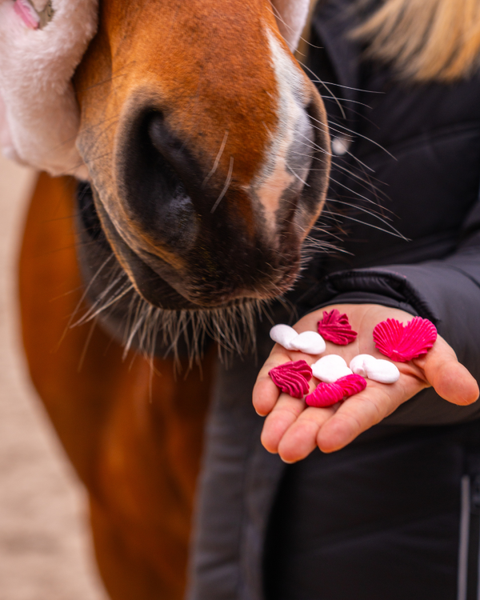 Beziki dla koni Candy Horse - Walentynki