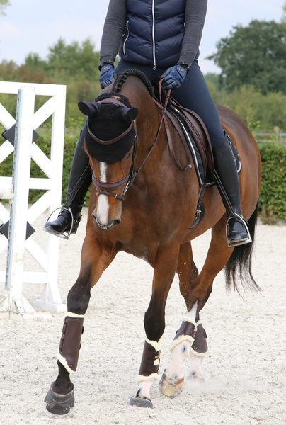 Ochraniacze ujeżdżeniowe z futrem Kentucky Horsewear Turnout Boots Leather - przody