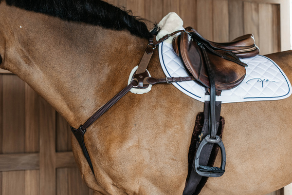 Napierśnik pięciopunktowy Dy'on New English Collection NE06F