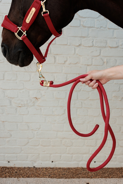 Uwiąz Kentucky Horsewear Lead Rope Basic