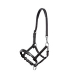 Kantar skórzany dla źrebaka Kavalkade